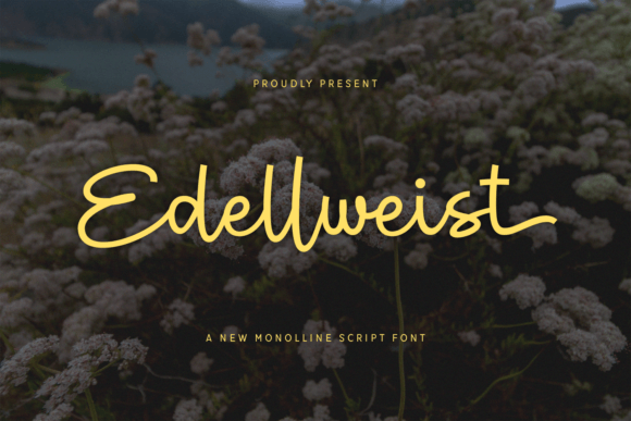 Edellweist Script Font for Web Design and Digital Branding