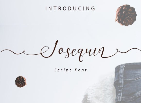 Josequin: A Designer’s Honest Review for Real Projects