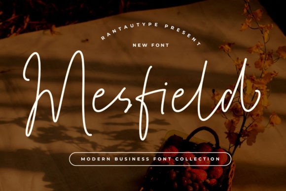 Mesfield Font: Elegant Script for Real Brand Projects