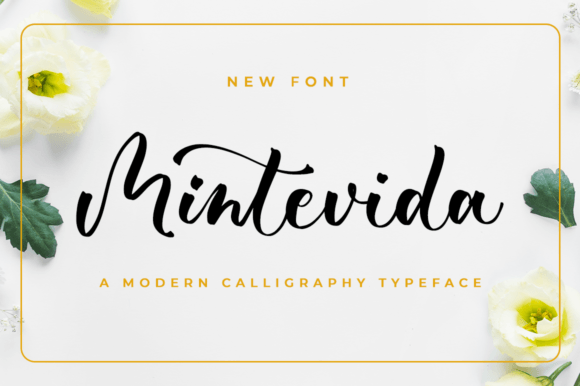 Mintevida: A Script Font for Modern Brand Campaigns
